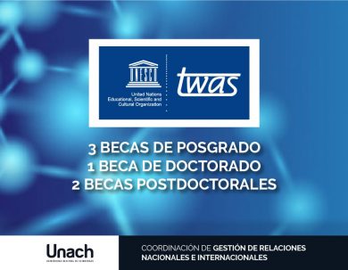 BECAS TWAS
