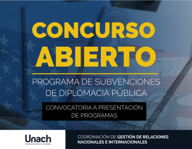 PROGRAMA DE SUBVENCIONES DE DIPLOMACIA PÚBLICA