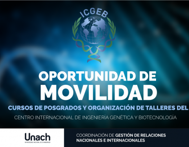 OPORTUNIDAD DE MOVILIDAD