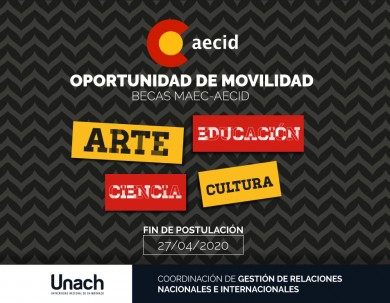 BECAS MAEC-AECID DE ARTE, EDUCACIÓN, CIENCIA Y CULTURA