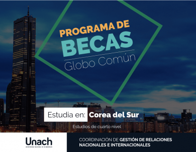 ESTUDIA EN COREA DEL SUR