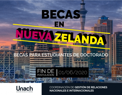 BECAS PARA ESTUDIANTES DE DOCTORADO