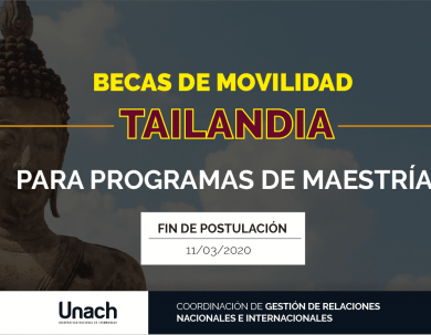 THAILAND INTERNATIONAL POSTGRADUATE PROGRAM 2020