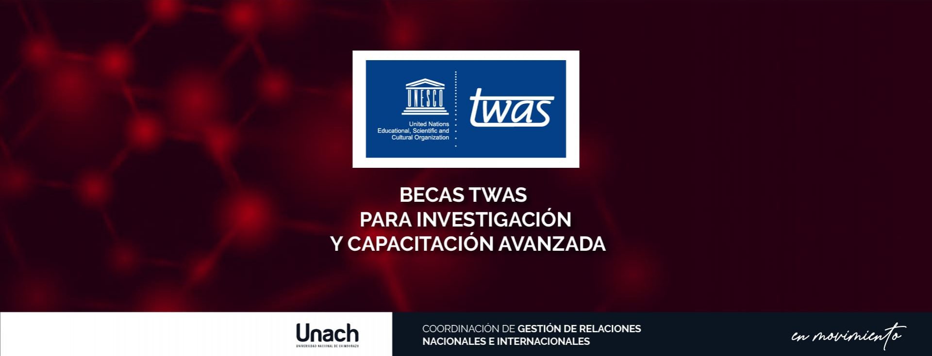 BECAS TWAS PARA INVESTIGACIÓN Y CAPACITACIÓN AVANZADA