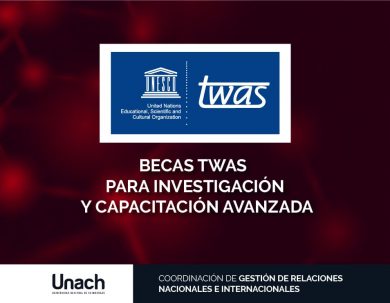 BECAS TWAS PARA INVESTIGACIÓN Y CAPACITACIÓN AVANZADA