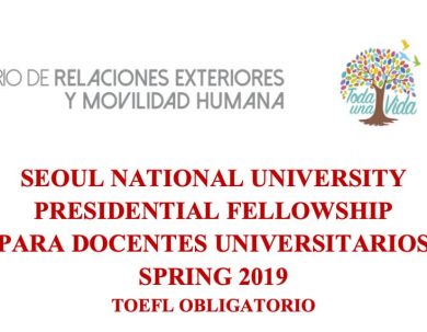 Programa de Becas para PhD (Sólo aplica para docentes universitarios)