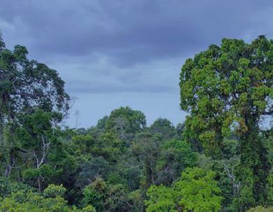 AL- INVEST VERDE: SUBVENCIONES PARA CRECIMIENTO SOSTENIBLE
