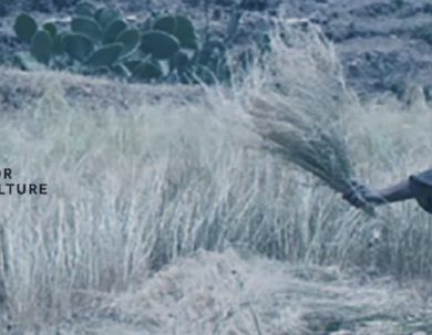 CONVOCATORIA CAPITAL SEMILLA PARA IMPULSAR UNA AGRICULTURA SALUDABLE- PROGRAMA HARVERST FOR HEALTH BREAKTHROUGH