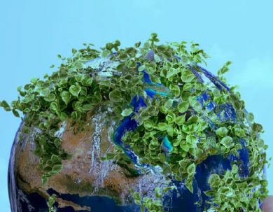 CONVOCATORIA USAID-ECUADOR NUEVA INICIATIVA DE ALIANZAS PARA LA REACTIVACIÓN ECONÓMICA Y AMBIENTAL PARA EL DESARROLLO INTERNACIONAL