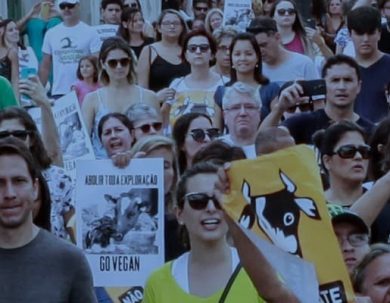 CONVOCATORIA PARA PROYECTOS EN LA DEFENSA DE LOS ANIMALES