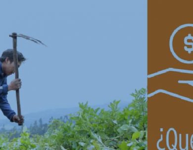 PRIMERA CONVOCATORIA ABIERTA PARA EL FINANCIAMIENTO DE PROYECTOS DEL FONDO DE INVESTIGACIÓN PARA LA AGROBIODIVERSIDAD, SEMILLAS Y AGRICULTURA SUSTENTABLE (FIASA) 2023
