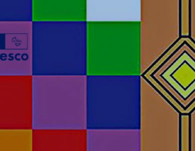 TERCERA CAMPAÑA PARA LA ERRADICACIÓN DEL RACISMO EN LA EDUCACIÓN SUPERIOR EN AMÉRICA LATINA.