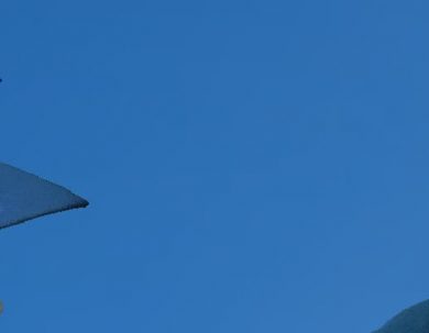 CONVOCATORIA BECA FULBRIGHT POSGRADOS 2023