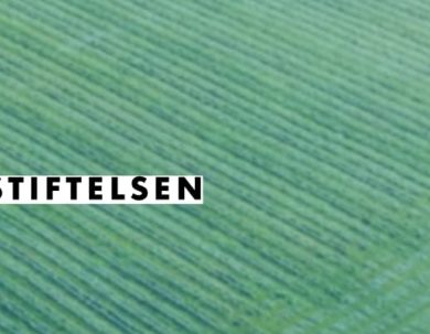 CONVOCATORIA EKHAGASTIFTELSEN 2023