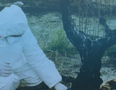 CONVOCATORIA II CONCURSO “ECO-ENFOQUE” DE FOTOGRAFÍA CONSERVACIONISTA EMBAJADA DE ESPAÑA EN ECUADOR