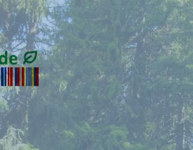 SEGUNDA CONVOCATORIA AL-INVEST VERDE