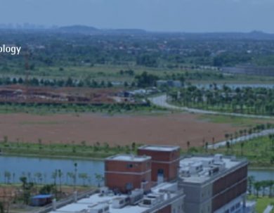 CONVOCATORIA BECAS GLOBO COMÚN PASANTÍAS EN KIST SCHOOL-COREA DEL SUR