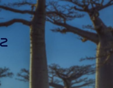 CONVOCATORIA DONACIONES DE SUEZ FOUNDATION PARA PROYECTOS AMBIENTALES