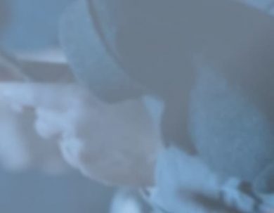 CONVOCATORIA PREMIO ROCHE DE PERIODISMO PARA LATINOAMERICANOS