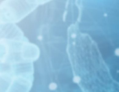 CONVOCATORIA PROGRAMA INTERNACIONAL EN GOBIERNO, TRANSFORMACIÓN, INNOVACIÓN Y TECNOLOGÍAS