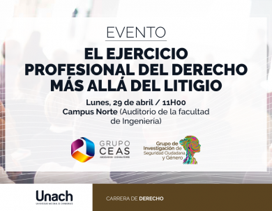 EL EJERCICIO PROFESIONAL DEL DERECHO MÁS ALLÁ DEL LITIGIO