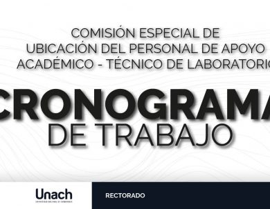 CRONOGRAMA DE TRABAJO