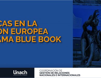 PRÁCTICAS EN LA  COMISIÓN EUROPEA  PROGRAMA BLUE BOOK